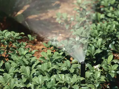 Afriq Water K-Rain Irrigation